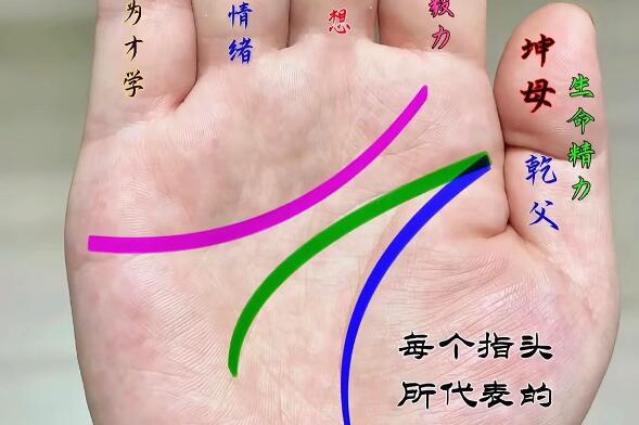 風(fēng)水大師分享財運亨通的手相特征