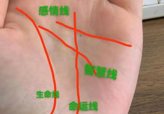 風(fēng)水大師分享手相解讀